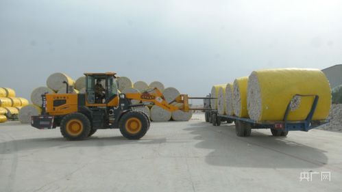 新疆伽師棉花企業(yè)開(kāi)足馬力忙生產(chǎn)