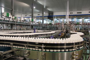 漢川農(nóng)產(chǎn)品加工直奔500億元