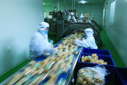 鄉村產業振興 五因制宜